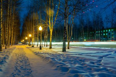 Gece parkta