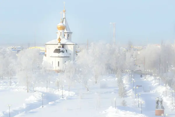 Напередодні Різдва — стокове фото