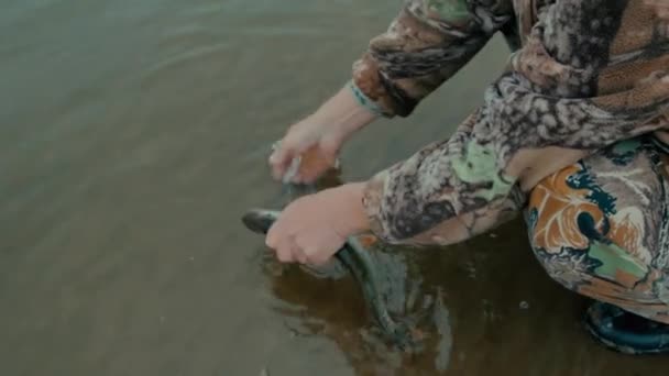 Visser Met Een Vangst Visser Wast Gevangen Snoeken Rivier Het — Stockvideo