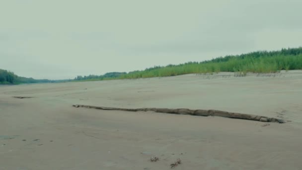 Jongens Horizontale Panorama Van Een Rivierlandschap Vissen Met Een Visser — Stockvideo