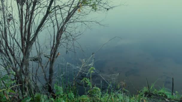 网在草地上纠缠在一个网络挂在一个森林湖泊的平滑笼罩着晨雾 — 图库视频影像