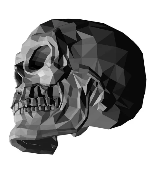Crâne Sur Fond Blanc Illustration Vectorielle — Image vectorielle