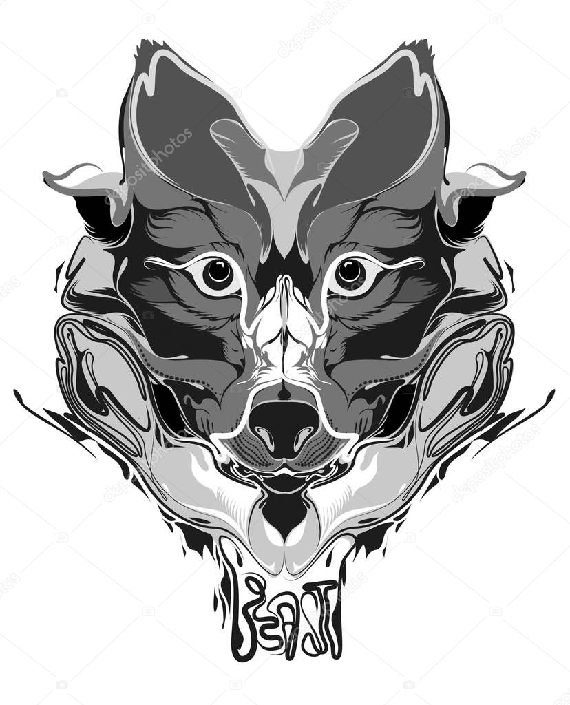 Wolf club logo, vector illustration