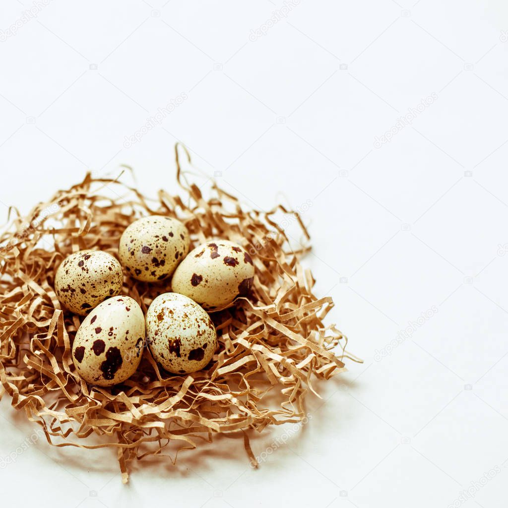 Five quail eggs in the nest on white background. Soft focus.