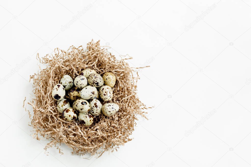 Quail eggs in the nest on white background.