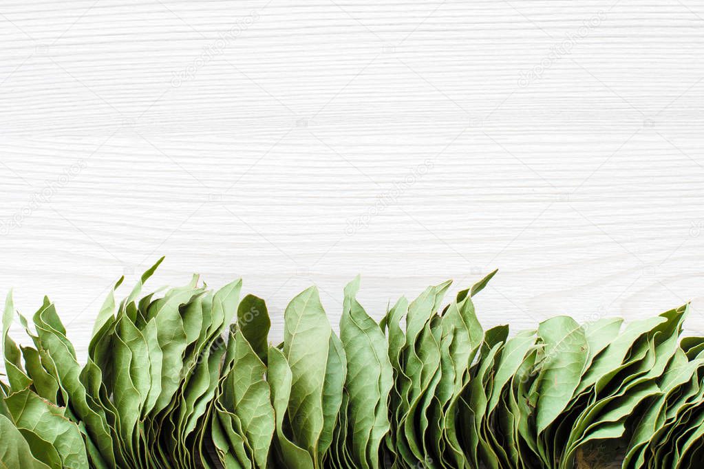 Bunch of bay leaves on white wooden background with space for text