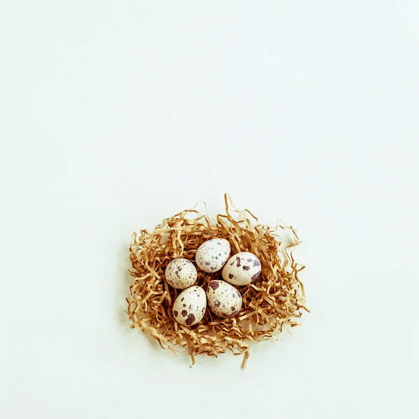Five Quail Eggs Nest White Background Space Fot Text — Stock Photo, Image