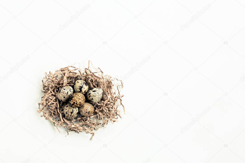 Six quail eggs in the nest on white background. Space fot text.