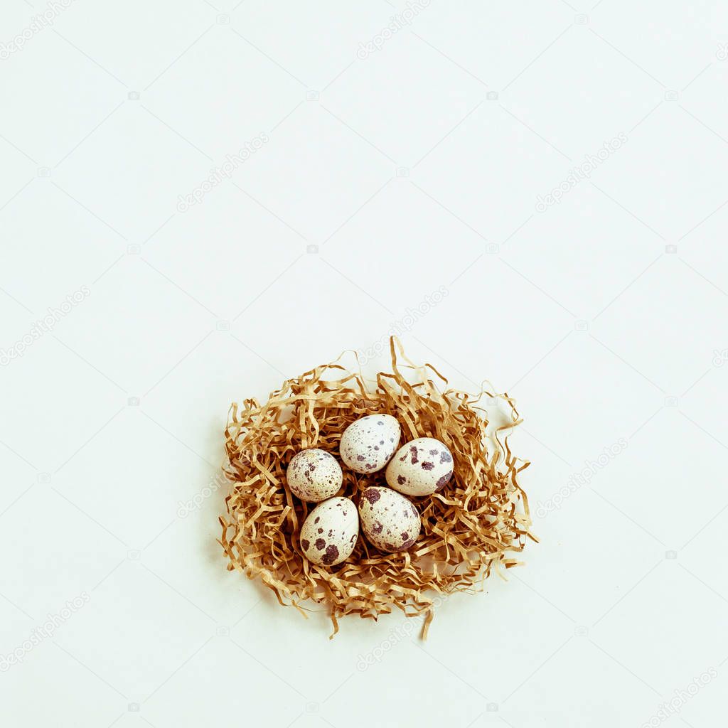 Five quail eggs in the nest on white background. Space fot text.