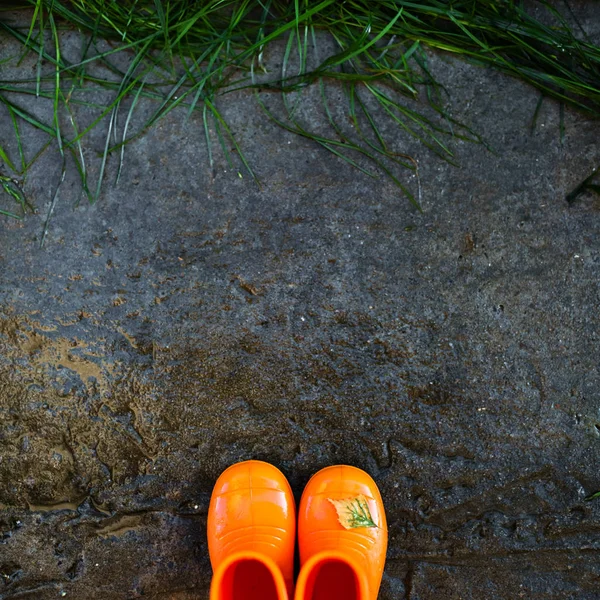 Top View Reddish Rubber Boots Wet Concrete Background Front Wet — Stock Photo, Image