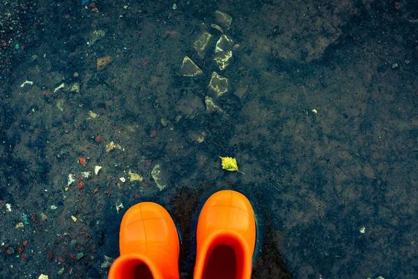 Orange Rubber Boots Standing Puddle Fallen Leaf — Stock Photo, Image