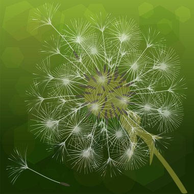 Bir karahindiba tasarımı için arka plan.