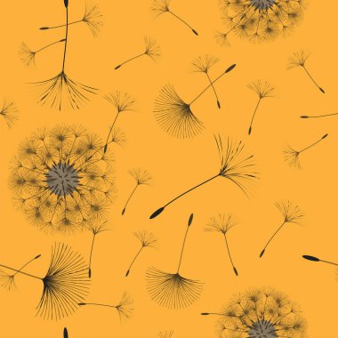 Sorunsuz bir karahindiba kökenli.