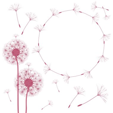 Soyut bir karahindiba tasarım çerçevesinde.