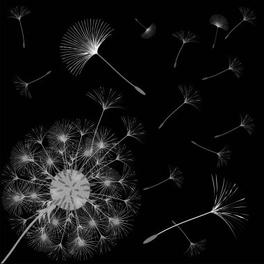 Bir karahindiba tasarımı için arka plan.