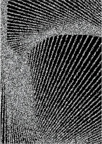 Líneas curvas de arena plateada sobre fondo negro — Archivo Imágenes Vectoriales