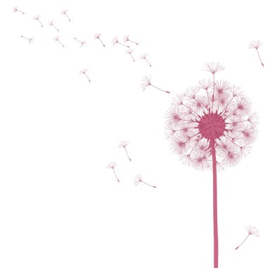 Bir karahindiba tasarımı için arka plan.