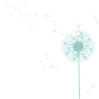 Bir karahindiba tasarımı için arka plan.