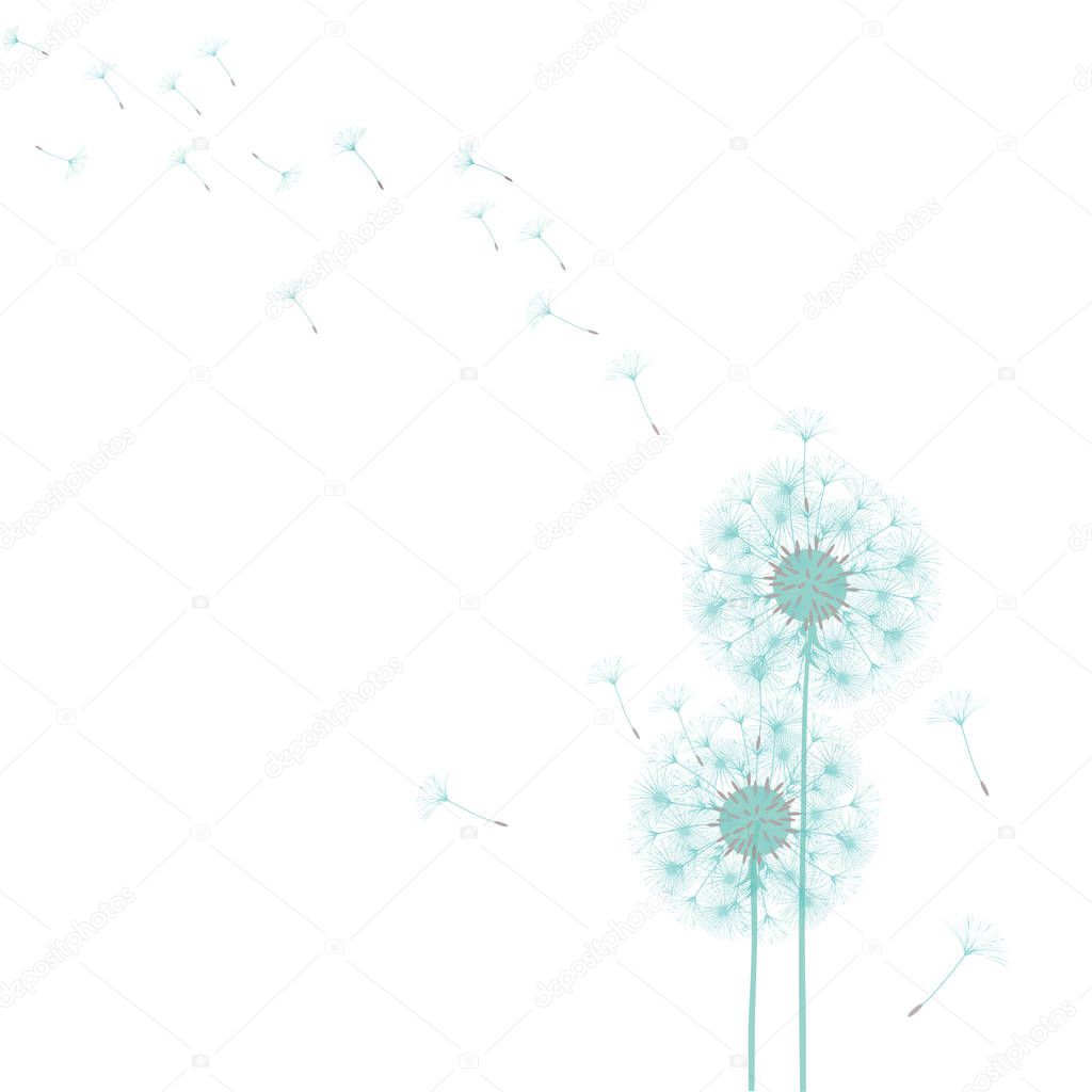 Abstract background of a dandelion for design.