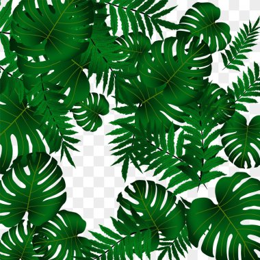  Vektör tropikal desen