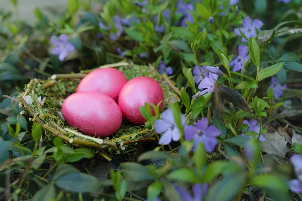 Paskalya için renkli yumurta. Çimlerin üzerinde güzel yumurtalar