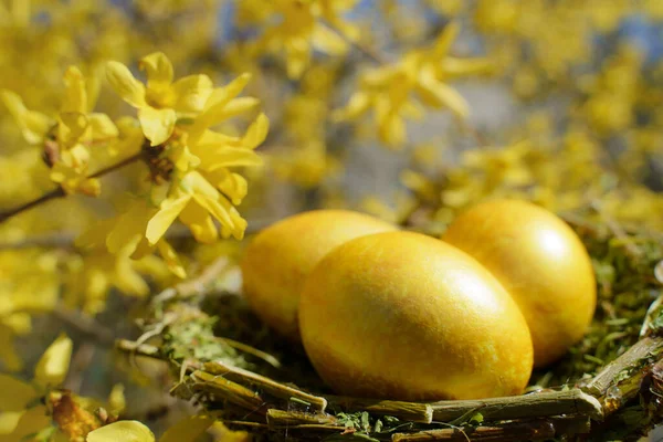 Renkli yumurtadan Paskalyaya. DÜNYA DÜŞÜNDÜĞÜ