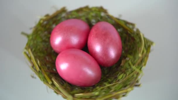 Gekleurde Eieren Voor Eenvoud Steek Eieren Het Nest Witte Ondergrond — Stockvideo