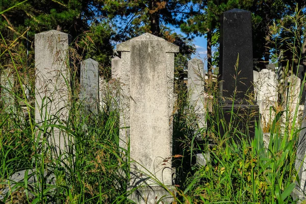 Nagrobki Starym Cmentarzu Żydowskim — Zdjęcie stockowe