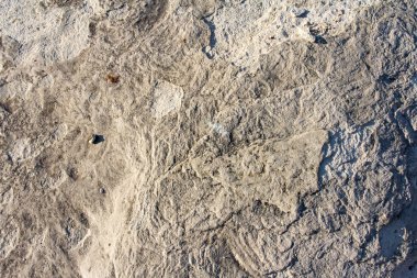 Taştaki kaprisli çizimler