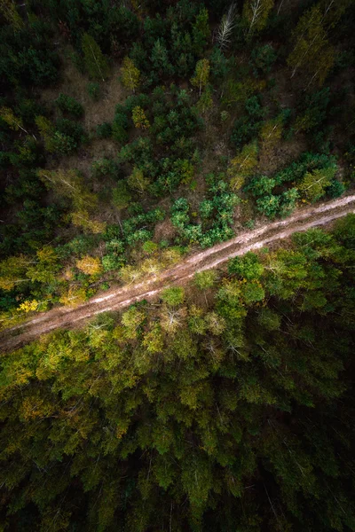 Дорога в лісі. Вид з повітря . — стокове фото