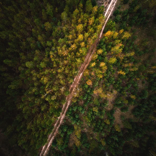 Дорога в лісі. Вид з повітря . — стокове фото