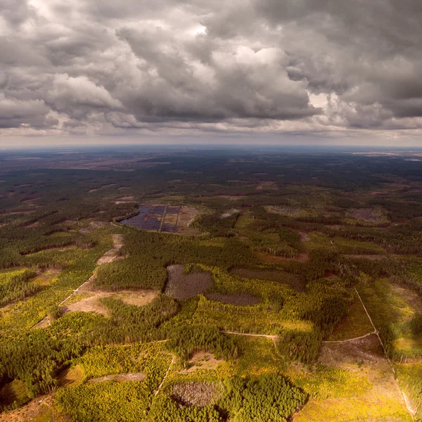 Прекрасне панорамне фото лісу до лінії горизонту. Вид з повітря . — стокове фото