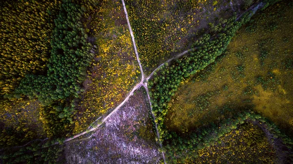 Перетин доріг у лісі. Вид з повітря . — стокове фото