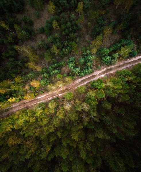 Дорога в лісі. Вид з повітря . — стокове фото