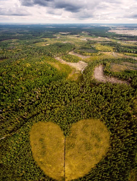 Поняття любові до природи. Піклуйся і насолоджуйся лісом . — стокове фото