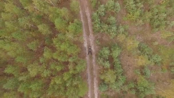 Dron aéreo disparado sobre el bosque caducifolio de coníferas de otoño. 4K — Vídeo de stock