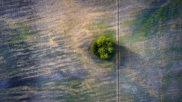 Luftaufnahme über landwirtschaftlich abgeschrägte Felder, Straßen und Bäume — Stockfoto