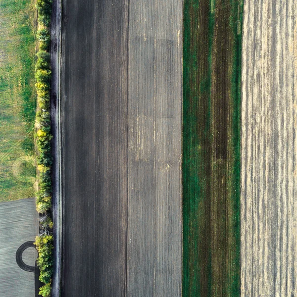 Minimalistic photograph of the beveled field, taken from the air. — Stock Photo, Image