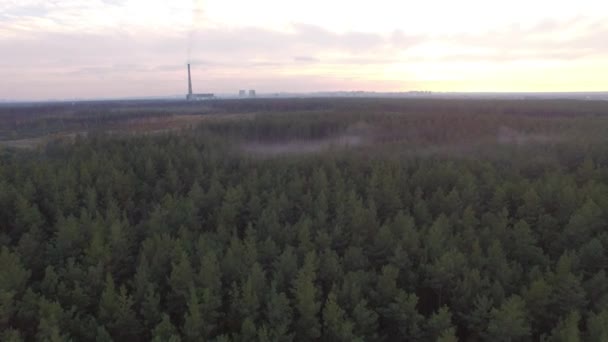 Eine Drohne schoss bei Sonnenuntergang über den herbstlichen Nadelwald. 4k — Stockvideo