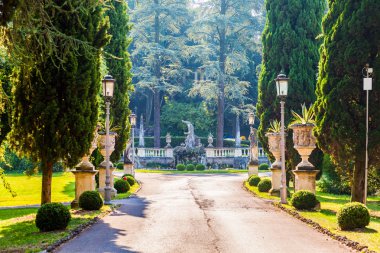 Beautiful park alley in a classic style with statues, stucco and junipers. clipart