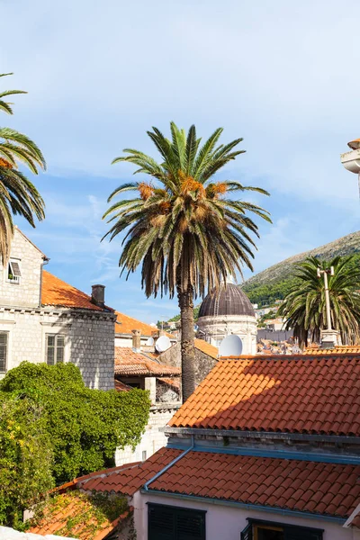 Casco antiguo Dubrovnik —  Fotos de Stock
