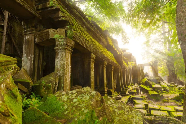 Kuil Ta Prohm kuno, Angkor, Kamboja — Stok Foto