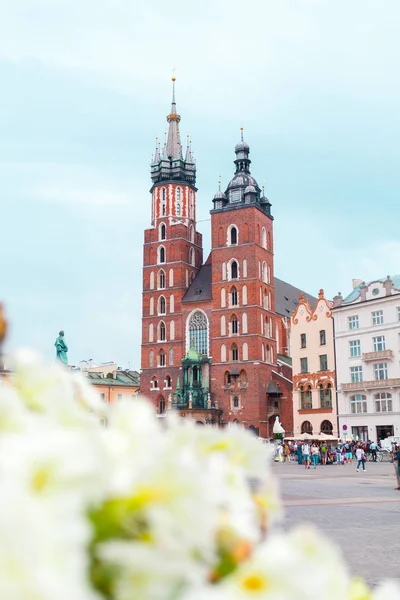 Aziz Meryem Kilisesi ana Pazar Meydanı'nda. Krakow. — Stok fotoğraf