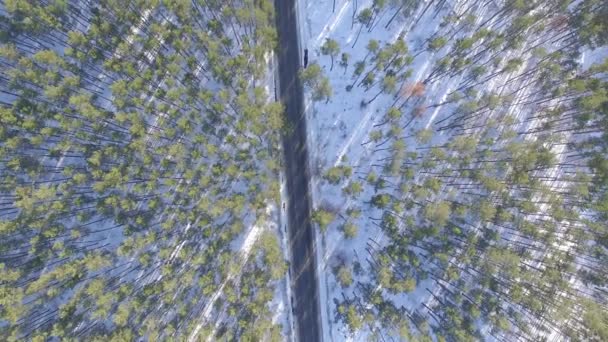 Воздушное видео с видом на лес зимой. Пейзаж — стоковое видео