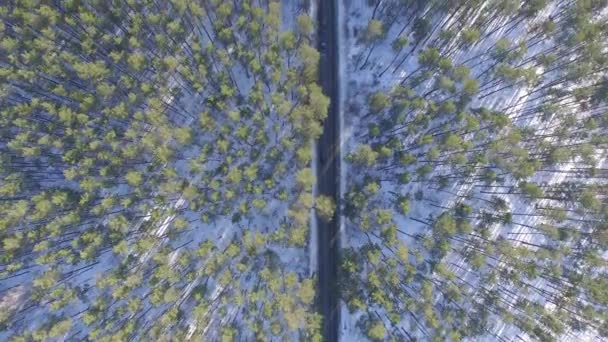 Letecké video pohled na les v zimě. Krajina — Stock video