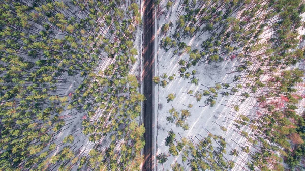 Vista aérea da floresta no inverno. Paisagem — Fotografia de Stock