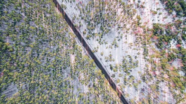 Vista aérea da floresta no inverno. Paisagem — Fotografia de Stock