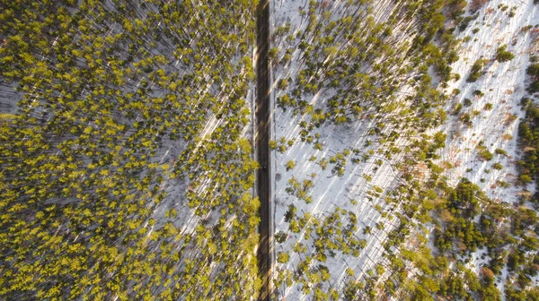 Vista aérea da floresta no inverno. Paisagem — Fotografia de Stock