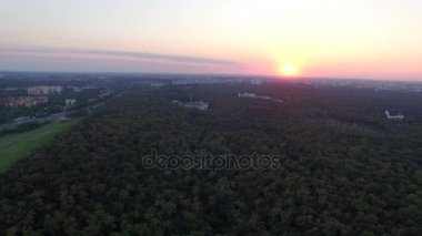 Havadan görünümü. Uçan güzel güneşli Orman ağaçları bitti. Manzara panorama.
