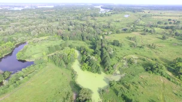 Vuelo sobre el campo con pantano y lagos. Vista aérea. Video 4k — Vídeo de stock